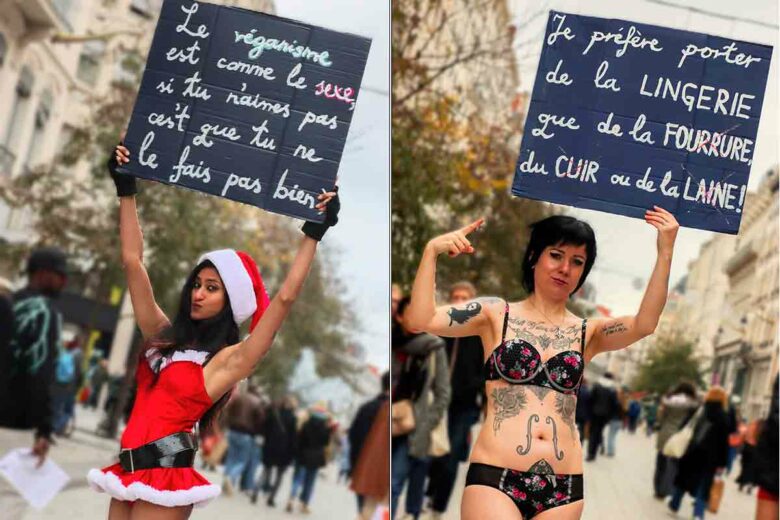 Des manifestantes pour la cause animale défilent en lingerie à Lyon.