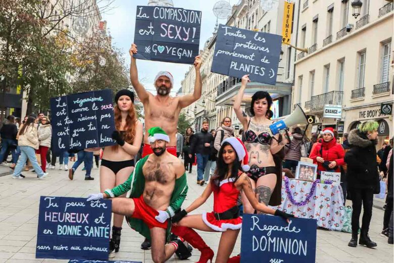 Une manifestation en lingerie pour la cause animale à Lyon.