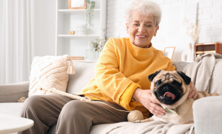 Les interactions avec un animal de compagnie permettent de conserver une activité physique et ses capacités cognitives.