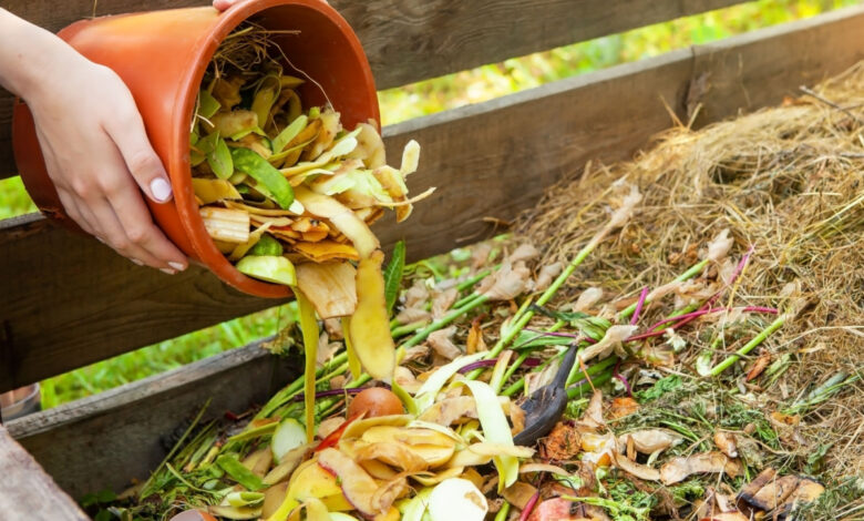 Un composteur de jardin avec différents types de déchets.