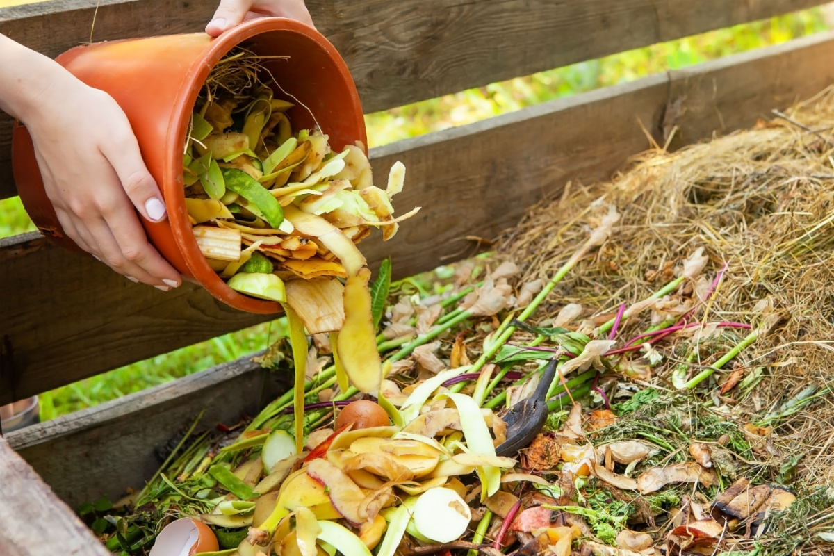 Un composteur de jardin avec différents types de déchets.