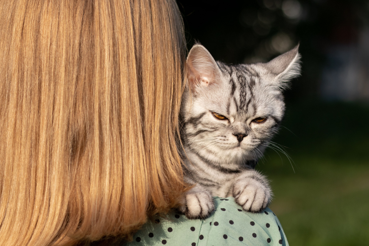 Une taxe sur nos animaux de compagnie ? Qu'est-ce que c'est que cette histoire ?