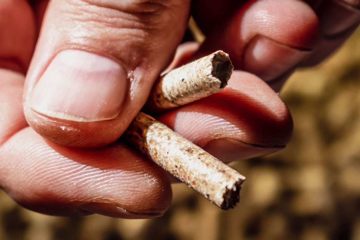 Des pellets de bois à 0,13 € le kilo avec une presse destinée à la  fabrication de granulés pour l'alimentation animale - NeozOne