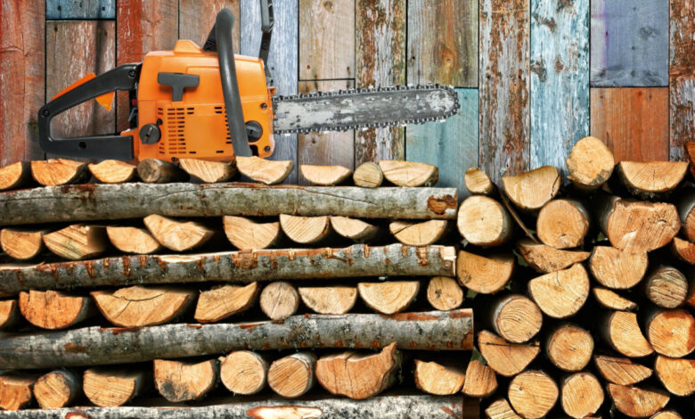 Le bois de chauffage est l'un des moyens se chauffer le plus apprécié des français.