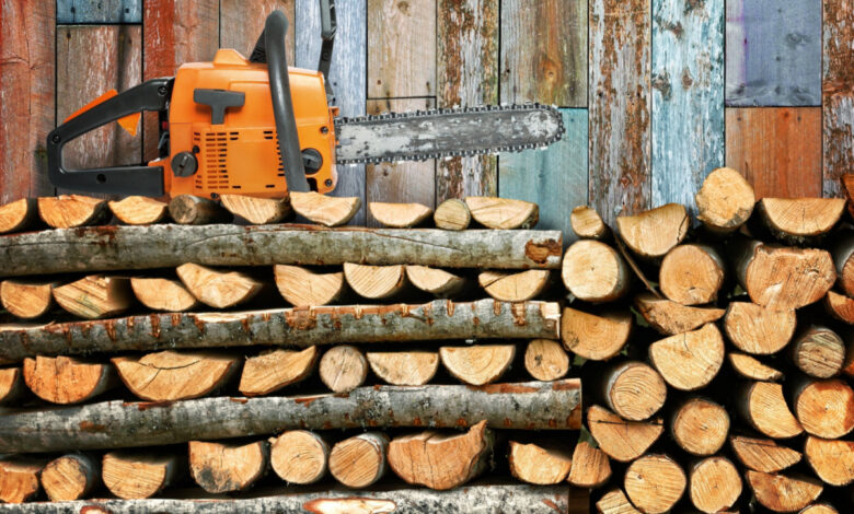 Chauffage : pourquoi le bois est-il un si bon combustible ?