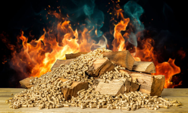 Les idées reçues sur le chauffage au bois ou aux pellets.
