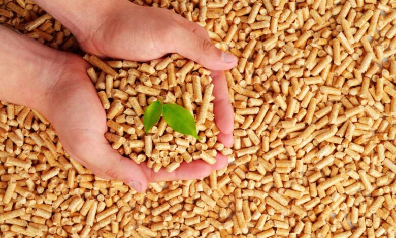 Quel type de pellets choisir ? Feuillus ou résineux ?