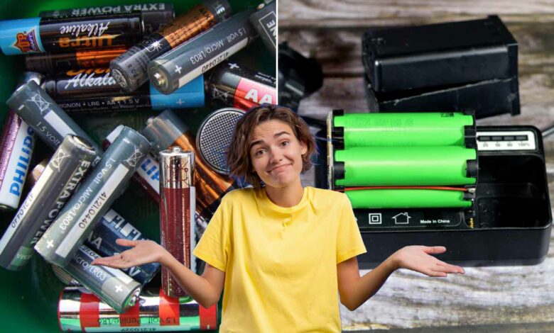 Piles jetables ou piles rechargeables, un choix compliqué !