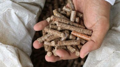 Quelle presse à pellet choisir pour fabriquer ses propres granulés de bois ?