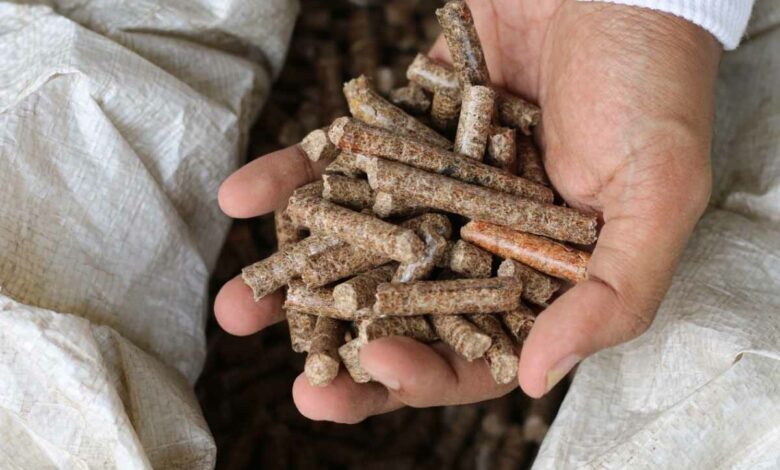 Quelle presse à pellet choisir pour fabriquer ses propres granulés de bois ?