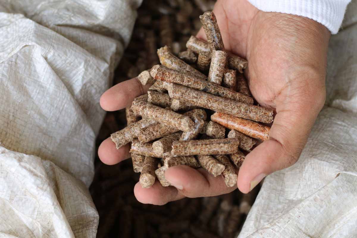 Quelle presse à pellet choisir pour fabriquer ses propres granulés de bois ?