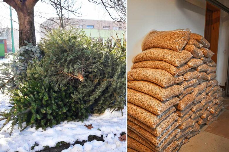 Il est possible de transformer les sapins de Noël en pellets de bois.