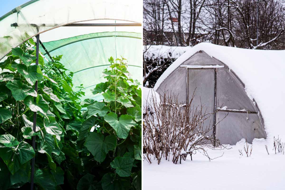 Comment garder sa serre hors gel lors des périodes hivernales ?