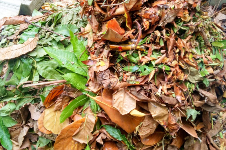 Utiliser du compost produira de la chaleur grâce au phénomène de décomposition.