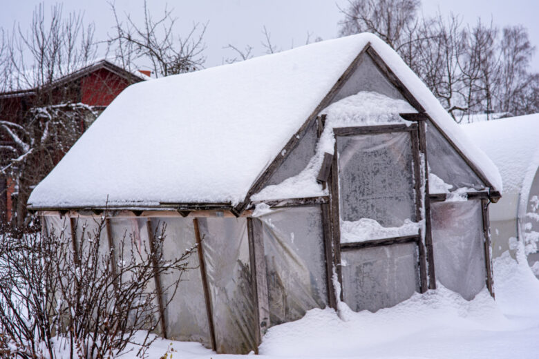 Une serre de jardin subissant les assauts de l'hiver.