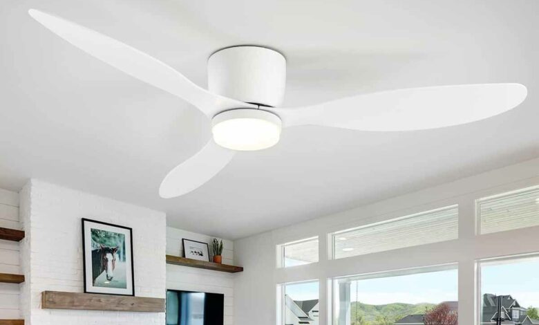 Le ventilateur de plafond peut vous permettre de mieux répartir la chaleur dans votre pièce l'hiver, et de vous rafraichir l'été.