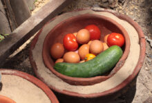 Le principe du zeer pot existe depuis très longtemps pour conserver des aliments.