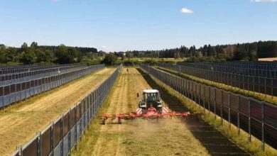 Les panneaux solaires verticaux sont conçus spécifiquement pour allier production d'énergie et agriculture.