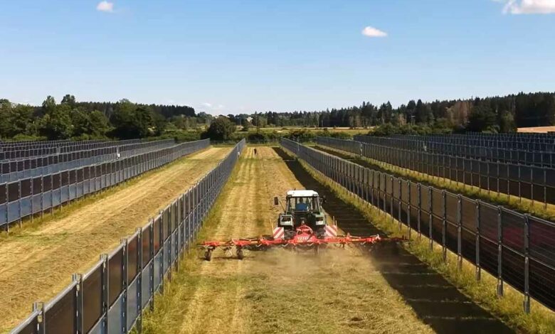 Les panneaux solaires verticaux sont conçus spécifiquement pour allier production d'énergie et agriculture.