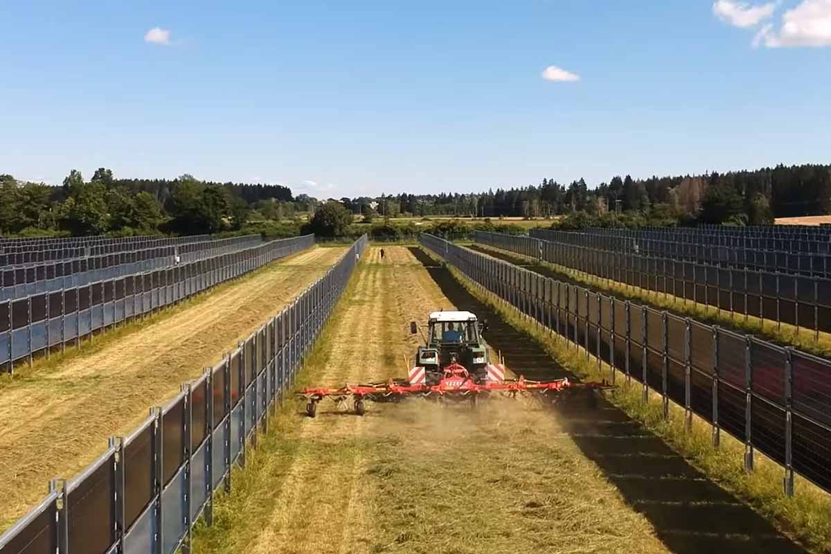 Les panneaux solaires verticaux sont conçus spécifiquement pour allier production d'énergie et agriculture.