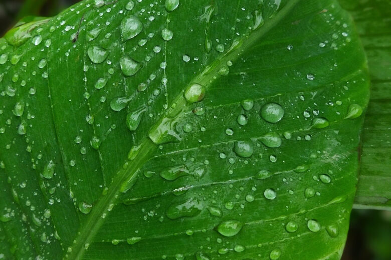 Produire de l'énergie à partir des gouttes de pluie.