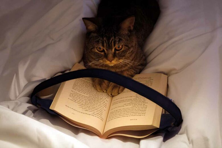 Avec la lampe Bowio vous pourrez lire au lit sans déranger votre partenaire.