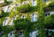 En ville, la végétalisation permet de rester connecté avec le monde naturel.