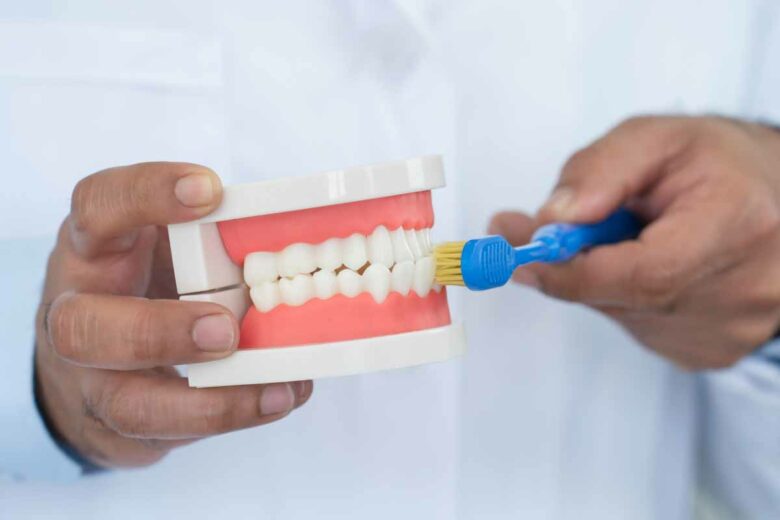 Un dentiste montrant la méthode pour réaliser un bon brossage de dents.