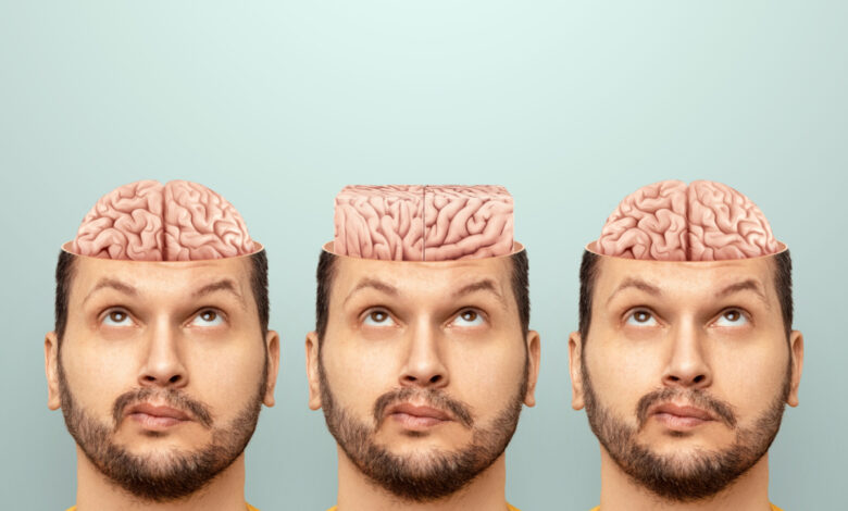 Le cerveau incroyable des dyslexiques.