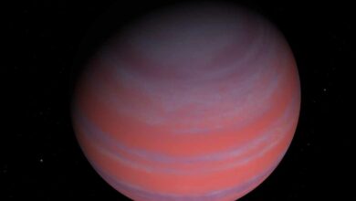 K2-18 c est une exoplanète de type Neptune qui orbite autour d’une étoile de type M. Sa masse est de 7,51 Terres, il lui faut 9 jours pour parcourir une orbite de son étoile et se trouve à 0,06 UA de son étoile. Sa découverte a été annoncée en 2017.