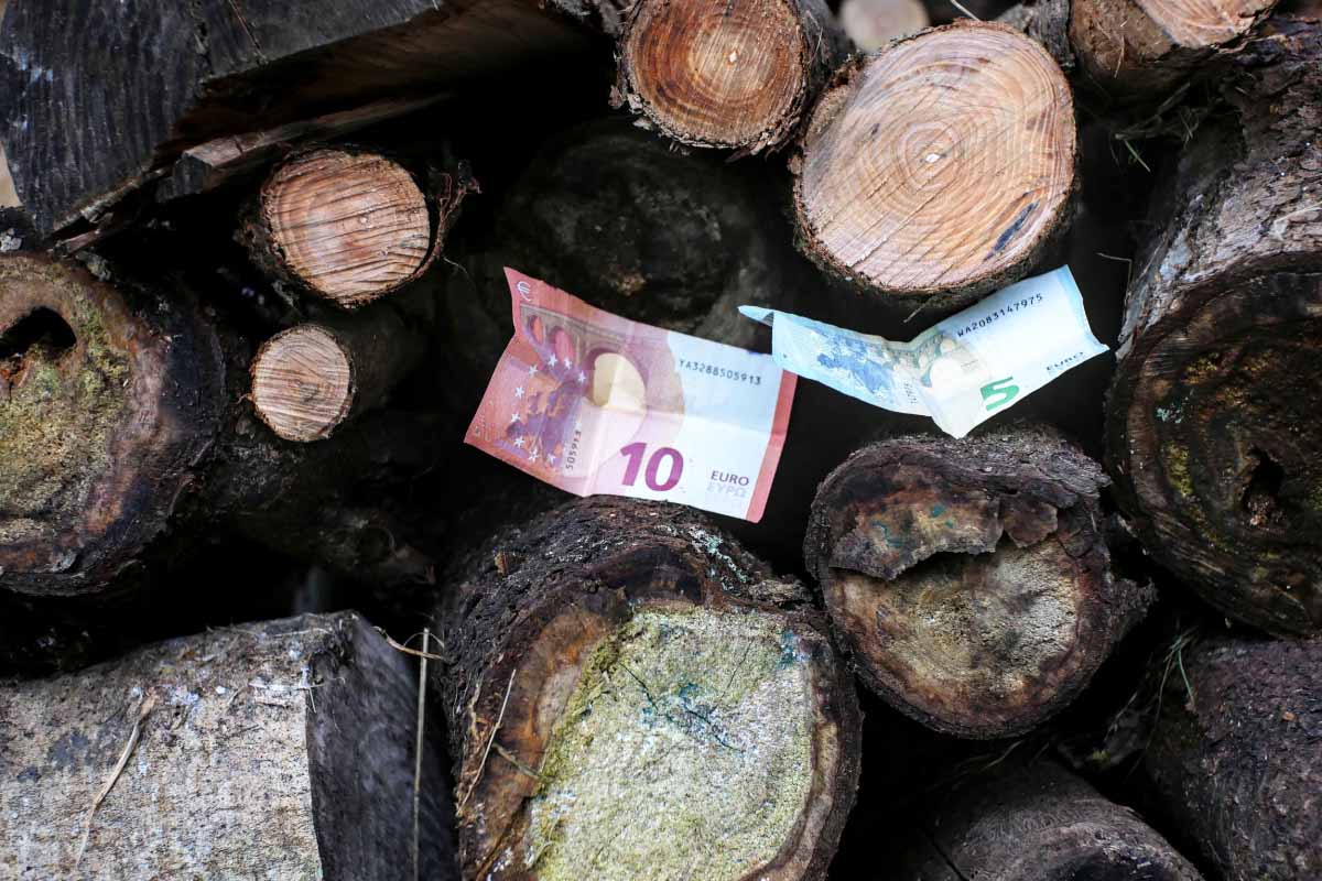Quel est le prix actuel du bois de chauffage ?