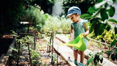 Une taxe potager, qu'est-ce que c'est encore ?