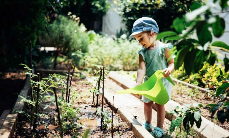 Une taxe potager, qu'est-ce que c'est encore ?