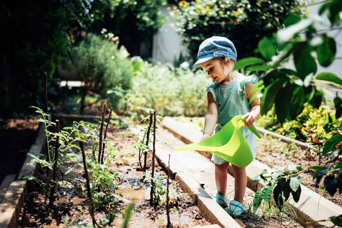 Une taxe potager, qu'est-ce que c'est encore ?