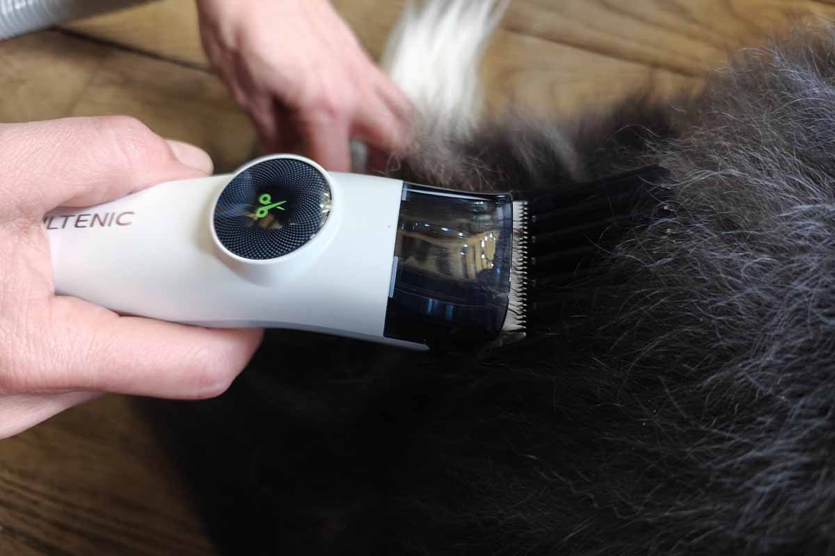 Brosse aspirante et tondeuse pour chien et chat