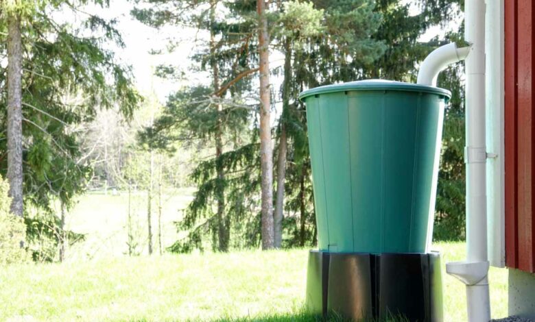 Il faut entretenir et nettoyer son récupérateur d'eau de pluie pour garder une eau saine.