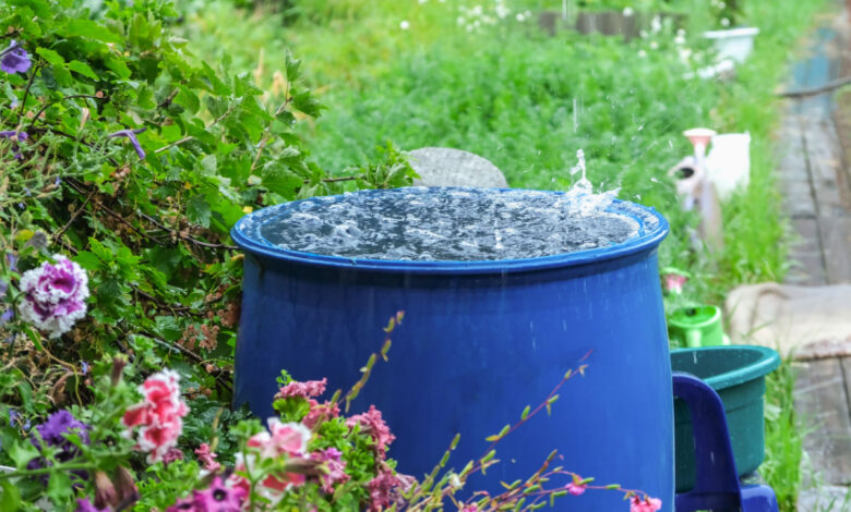 Est-il rentable de récupérer de l'eau de pluie ?