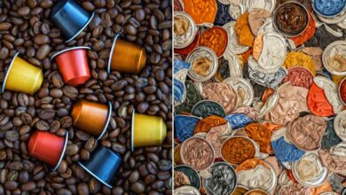 Comment recycler les dosettes de café que nous utilisons ?
