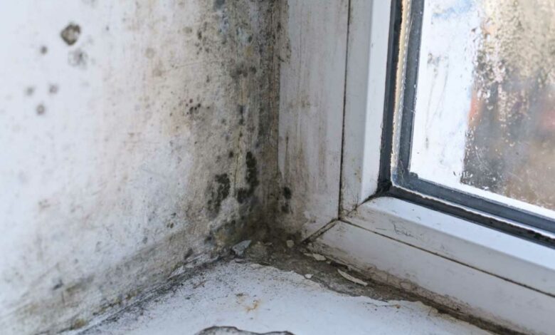 Comment bien ventiler un mur humide ?