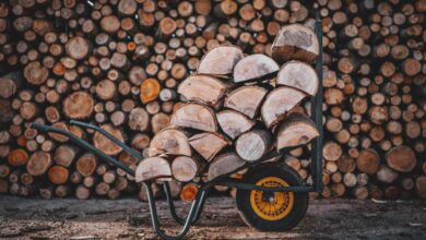 Le poids de votre bois varie en fonction de son taux d'humidité et de la variété de l'essence.