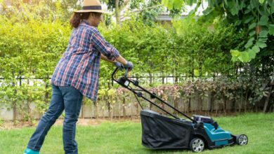 À quelle période faut-il reprendre la tonte de son jardin ?