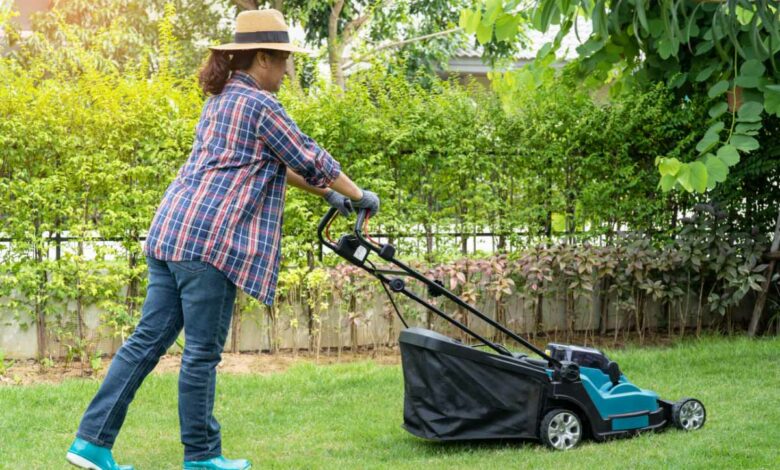 À quelle période faut-il reprendre la tonte de son jardin ?