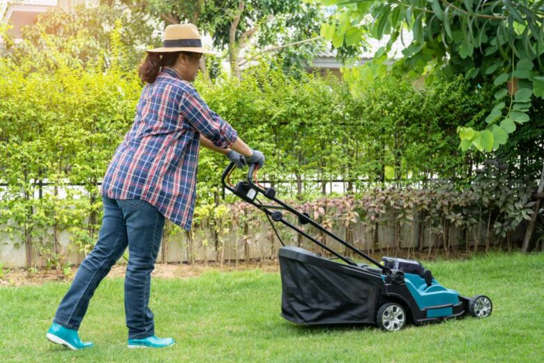 À quelle période faut-il reprendre la tonte de son jardin ?