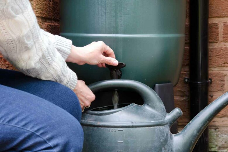 Utiliser de l'eau de pluie récupérée pour le jardin est un geste pour la planète et pour votre porte-monnaie.