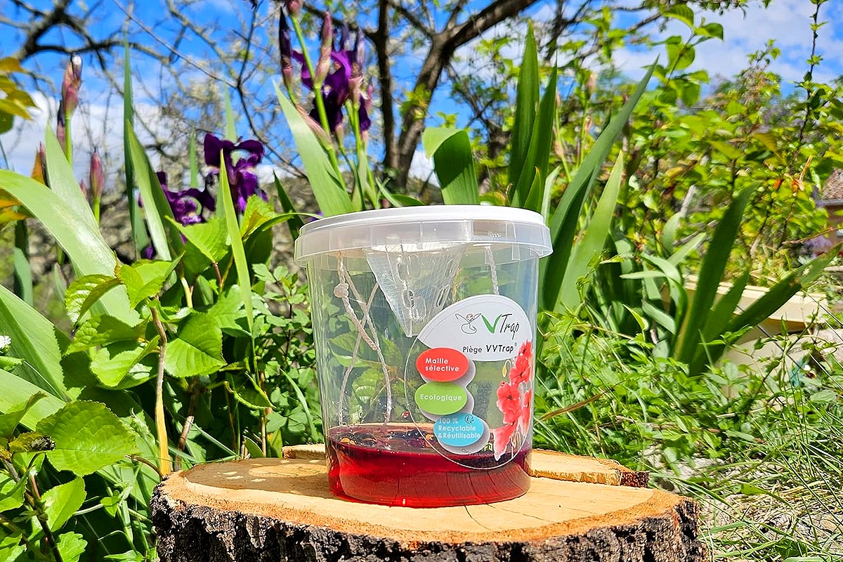 Installez dès maintenant le VVTrap Bucket pour préserver les abeilles.