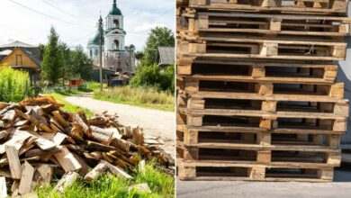 Sur montasdebois.fr, il est possible de trouver du bois de chauffage gratuit.