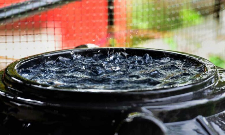 Un récupérateur d'eau de pluie de 300 l à un tarif imbattable est actuellement en vente sur ce site marchand.