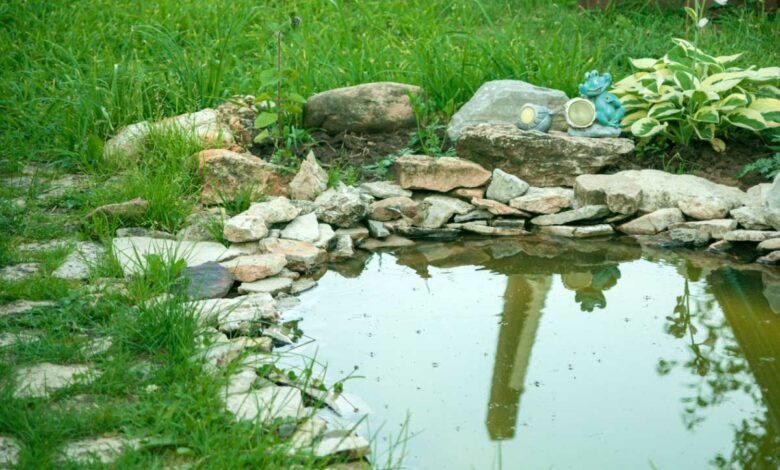 Quelles plantes pour un jardin de pluie ?