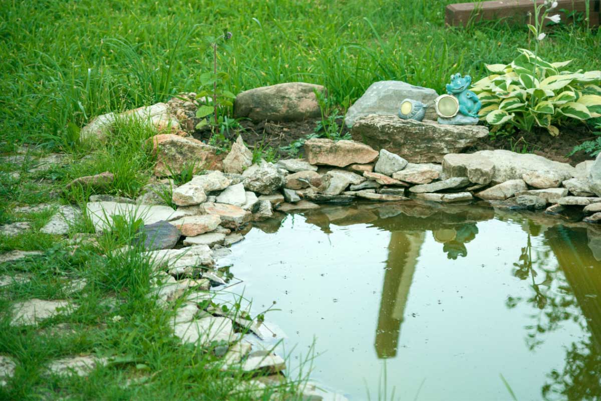 Quelles plantes pour un jardin de pluie ?