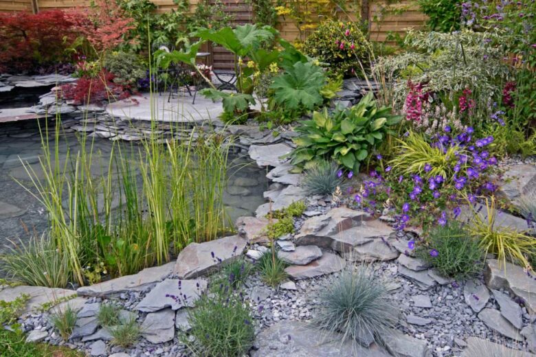 Pourquoi un jardin de pluie ?